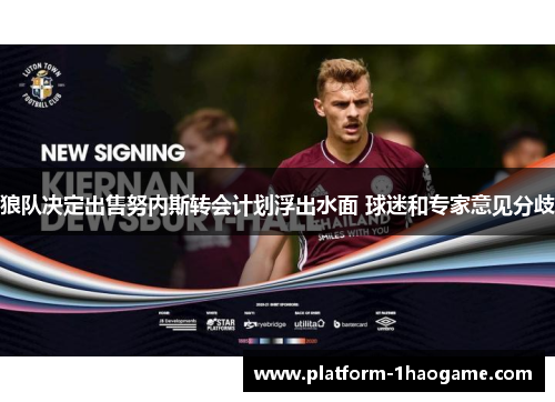 狼队决定出售努内斯转会计划浮出水面 球迷和专家意见分歧